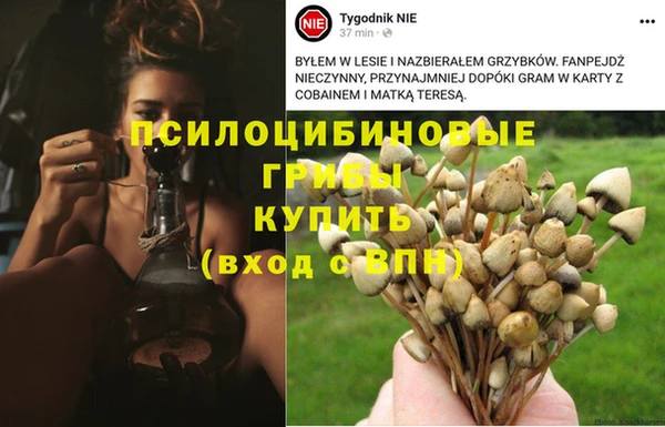 ECSTASY Аркадак