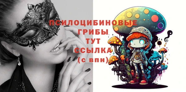 стафф Алзамай